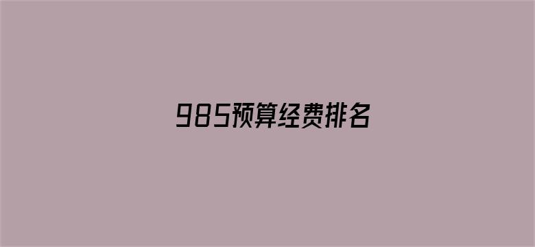 985预算经费排名